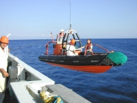 1155 - Sbarco con Workboat.jpg